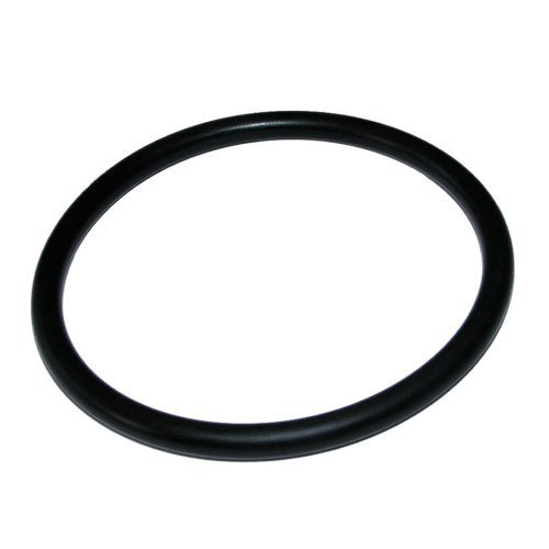 O-Ring For BioTec 12 - 36 & BioTec ScreenMatic2 18000 / 32000